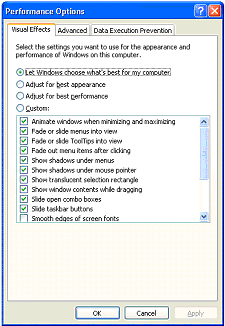 Figure 2   Performance Options