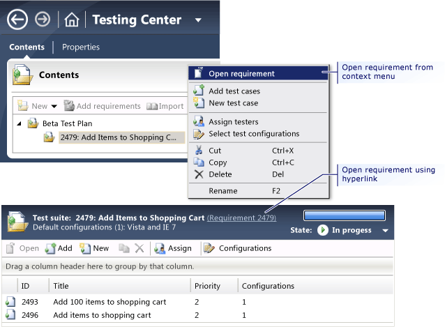 View a Requirement or User Story