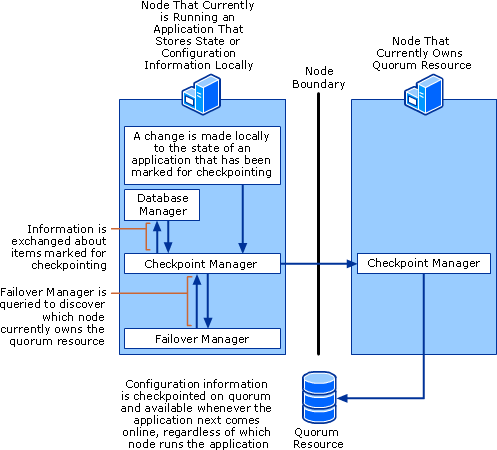 Checkpoint Manager