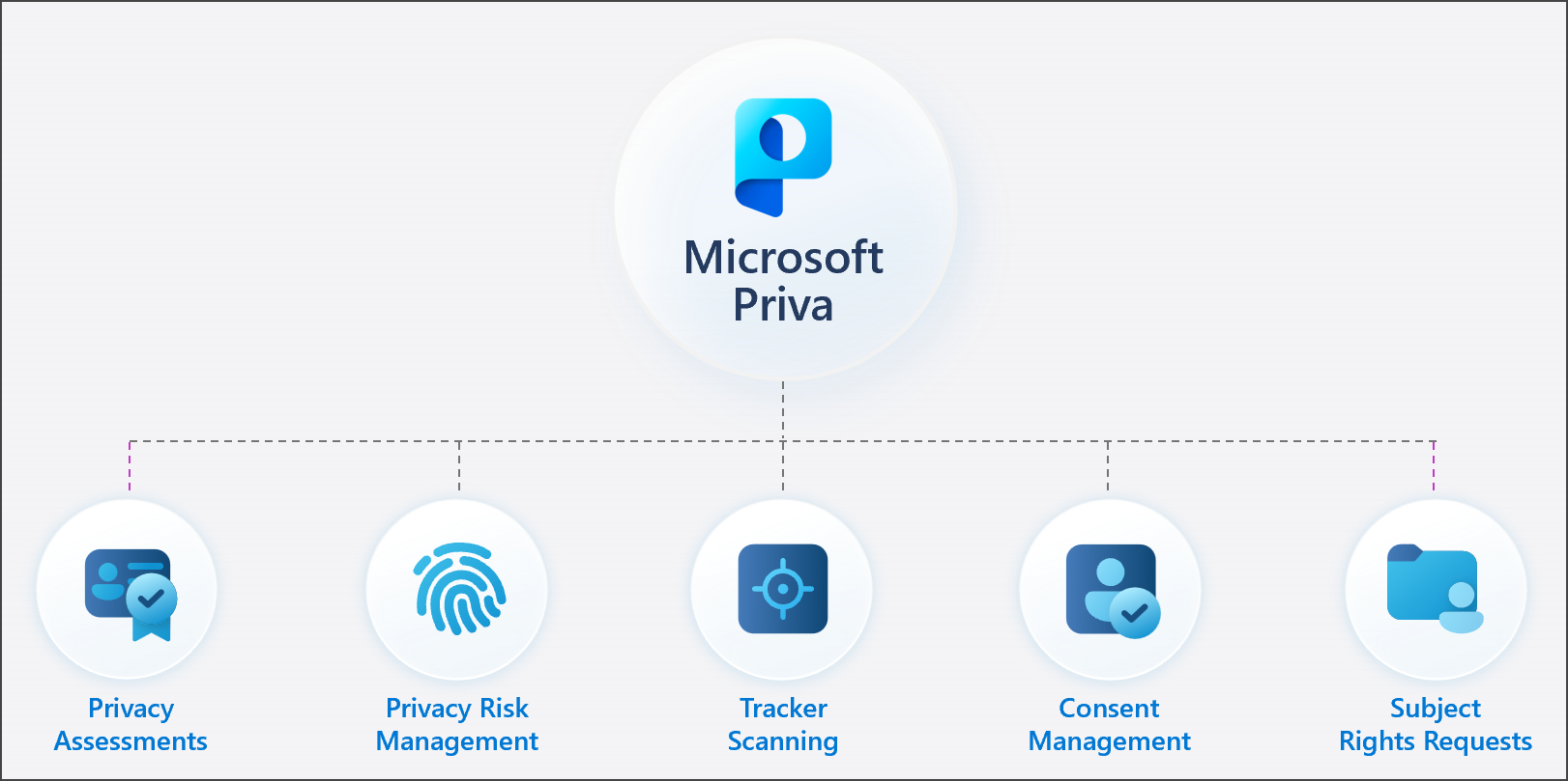 Иллюстрация семейства решений Microsoft Priva.