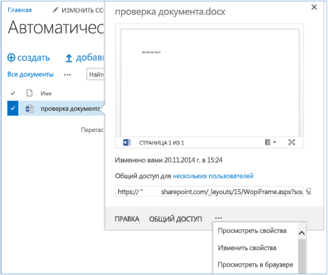 Снимок экрана: тестовый документ библиотеки с развернутыми свойствами.