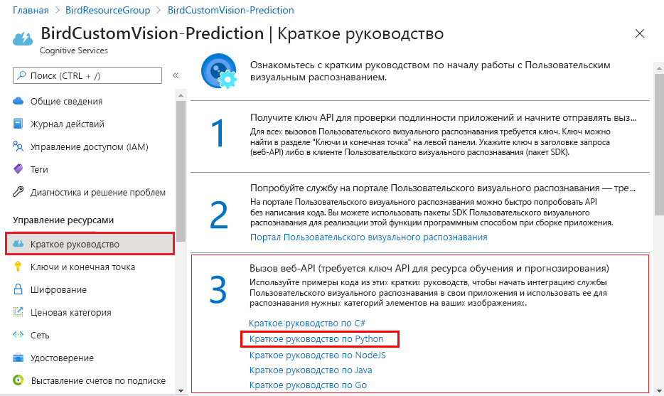 Снимок экрана: ресурсы быстрого запуска, описывающие способ вызова API для получения прогнозов из модели.