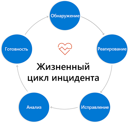 Cycle diagram of circles labeled with phases from above. Circles are connected to next circle with arrows from phase to phase.