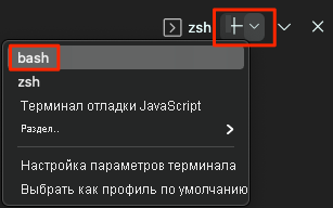 Снимок экрана: расположение оболочки Bash в Visual Studio Code.