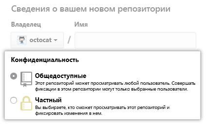 Снимок экрана: выбор общедоступного или частного репозитория.