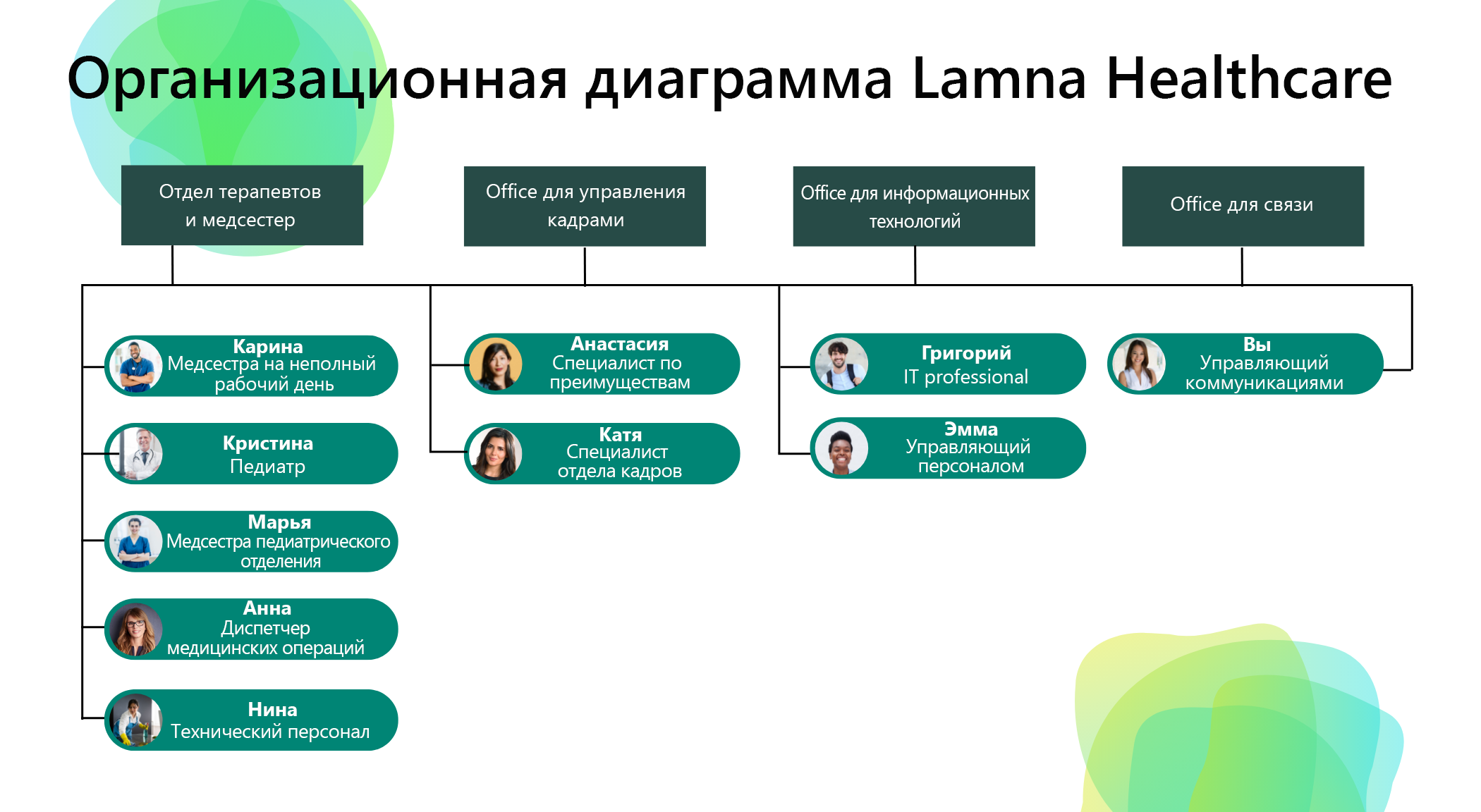 Диаграмма, показывающая упрощенную организационную структуру Lamna Healthcare.