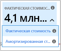 Снимок экрана: изображение с выбором фактической и амортизированной стоимости.