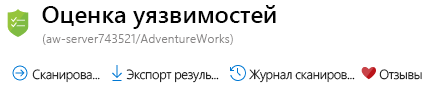 Снимок экрана, иллюстрирующий запуск сканирования уязвимостей.