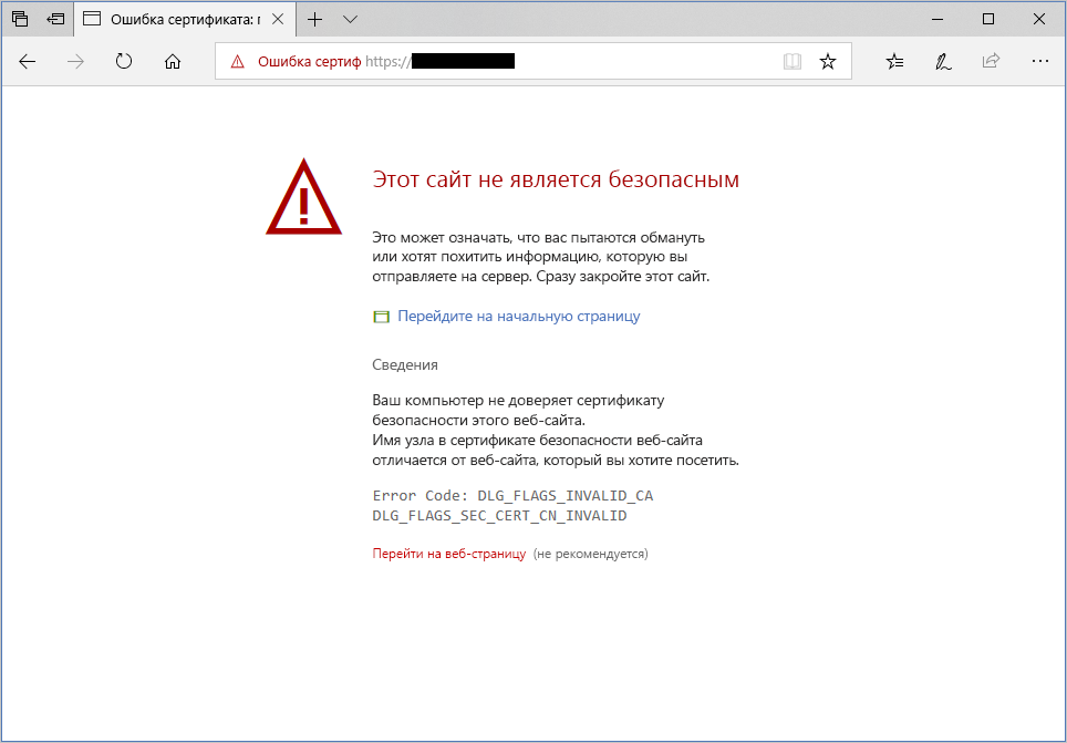 Screenshot of a warning about an unauthenticated server in Microsoft Edge.