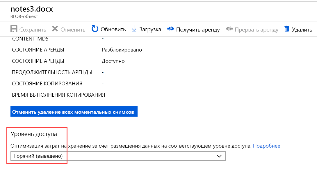 Снимок экрана: портал Azure с уровнем доступа к контейнеру BLOB-объектов с уровнем доступа 