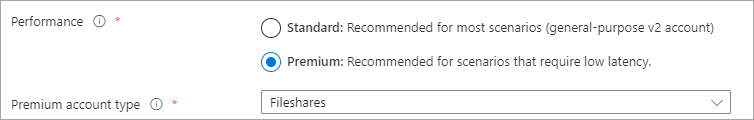 Снимок экрана с переключателем производительности с выбранной премиум-версией и типом учетной записи с выбранным хранилищем файлов.