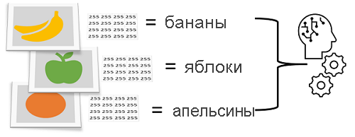Снимок экрана: классификация фотографий на основе пикселей в виде признаков и фруктов в виде классов.