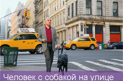 An image of a person with a dog on a street and the caption 