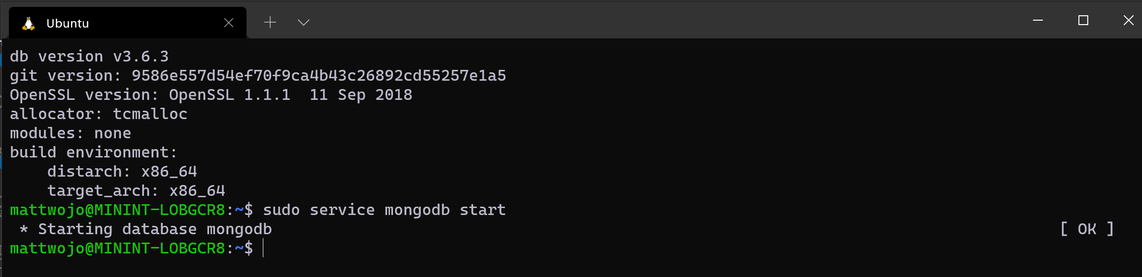 Запуск MongoDB в Ubuntu с помощью WSL