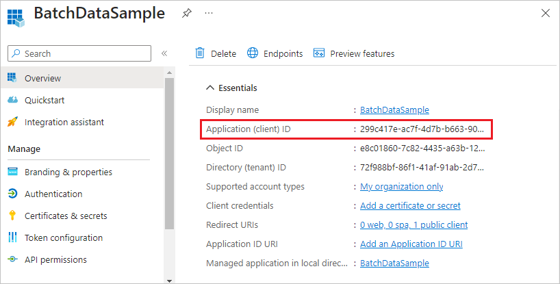 Skärmbild av program-ID:t som visas i Azure Portal.