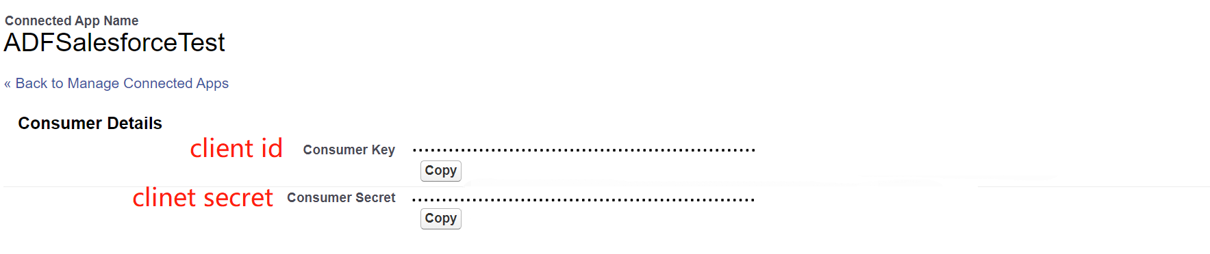 Skärmbild av klient-ID och hemlighet.