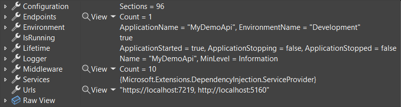 Användbar felsökningsvisning av WebApplication-typ i .NET 8.