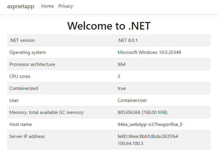 Skärmbild av Windows-containerupplevelsen.