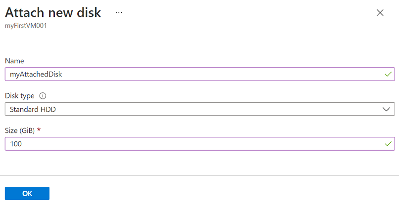 Skärmbild av formuläret Bifoga ny disk.