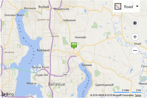 Screenshot of a Bing map showing a green rectangle icon acting as a pushpin in the center of the map.