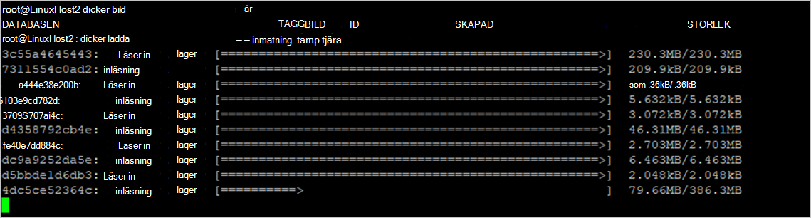 Skärmbild av import av logginsamlaravbildningen till Docker-lagringsplatsen.