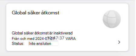 Skärmbild av panelen Global säker åtkomst.