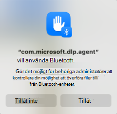 Skärmbild som visar Bluetooth-åtkomstbegäran
