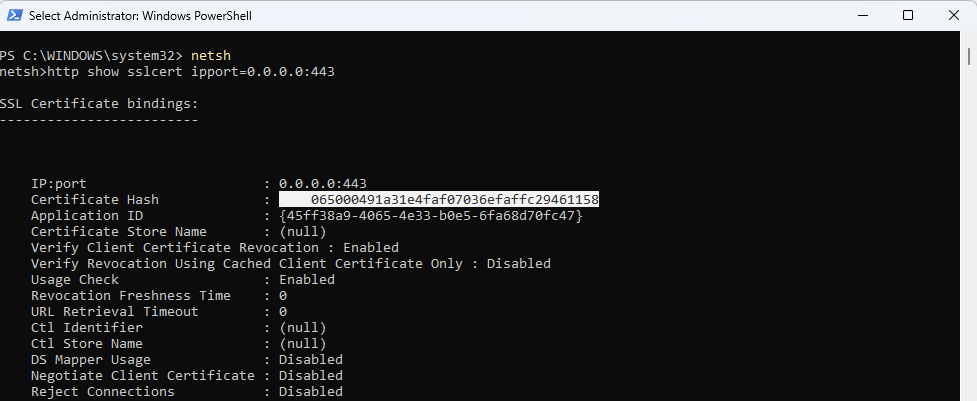 Screenshot that shows the Certificate hash value in the current binding parameters.