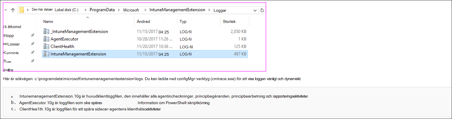 Skärmbild av agentloggarna på klientdatorn.