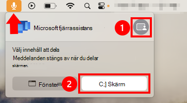 En skärmbild av dialogrutan för delning av macOS-mikrofon för att tillåta skärmdelning för Microsoft fjärrassistans