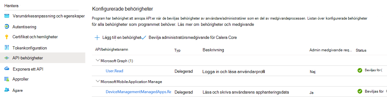 Granska APP-behörigheterna i appregistreringen.