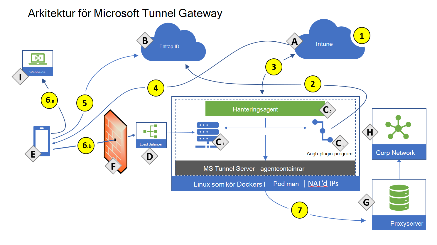 Ritning av Microsoft Tunnel Gateway-arkitekturen