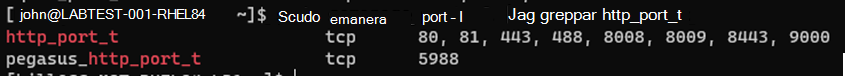 Skärmbild som visar resultatet av portkontrollen.