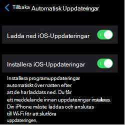 Skärmbild som visar inställningar för automatisk uppdatering på Apple-enheter i iOS/iPadOS.