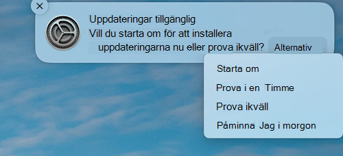 Exempelmeddelandet om att en uppdatering är tillgänglig på en MacOS Apple-enhet.