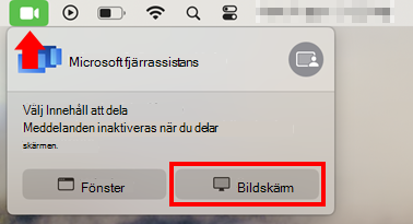 En skärmbild av dialogrutan för skärmdelning i macOS för att tillåta skärmdelning för Microsoft fjärrassistans