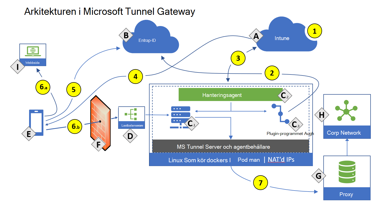 Ritning av Microsoft Tunnel Gateway-arkitekturen