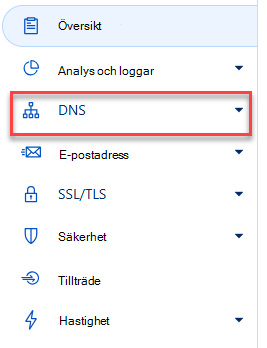 Välj DNS.