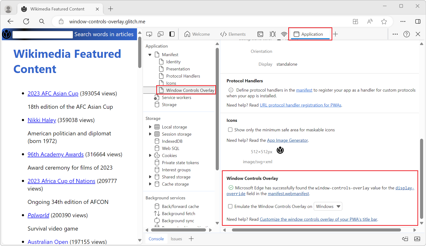 The 'Window Overlay Controls' section in the Application tool