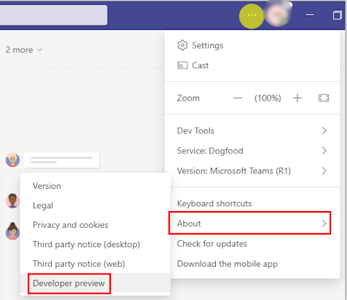 Screenshot shows the Developer preview option in the About section in Classic Teams.