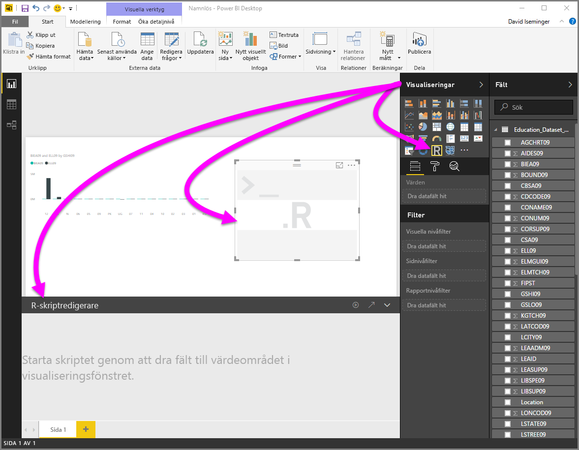 Screenshot of the Visualization pane, showing a blank R visual.