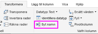 Skärmbild som visar alternativet Byt namn valt i menyfliksområdet.
