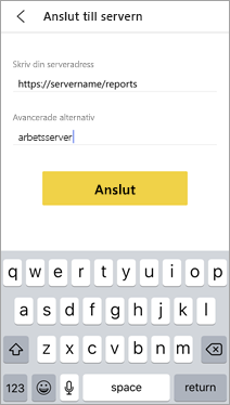 Skärmbild av rapportserverinformation ifylld.