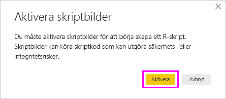 Skärmbild av dialogrutan Aktivera visuella skript som markerar Aktivera.