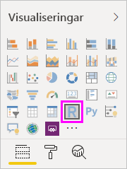 Skärmbild av fönstret Visualisering med ikonen R Visualisering markerad.