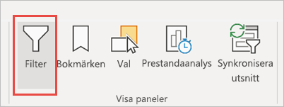 Skärmbild av fliken Visa med filter som markering.