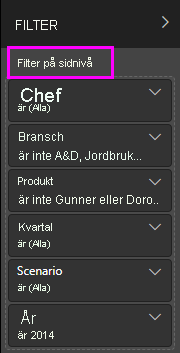 Skärmbild som visar filter på sidnivå.
