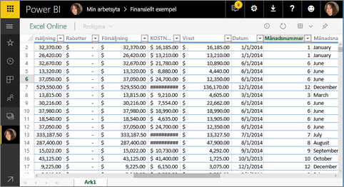 Skärmbild som visar Excel Online i Power BI.