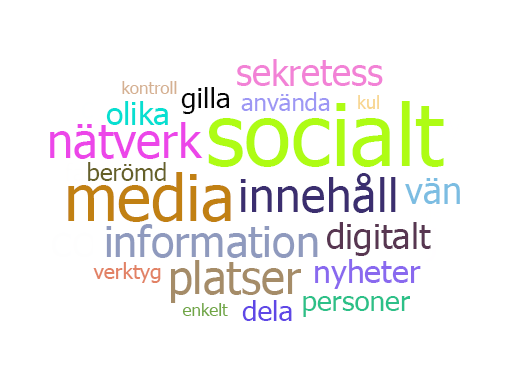 Skärmbild som visar Word Cloud.