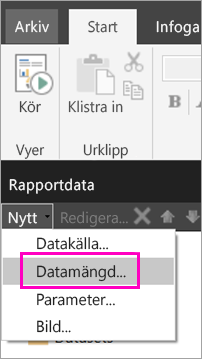 Skärmbild av alternativet Datauppsättning i fönstret Rapportdata.